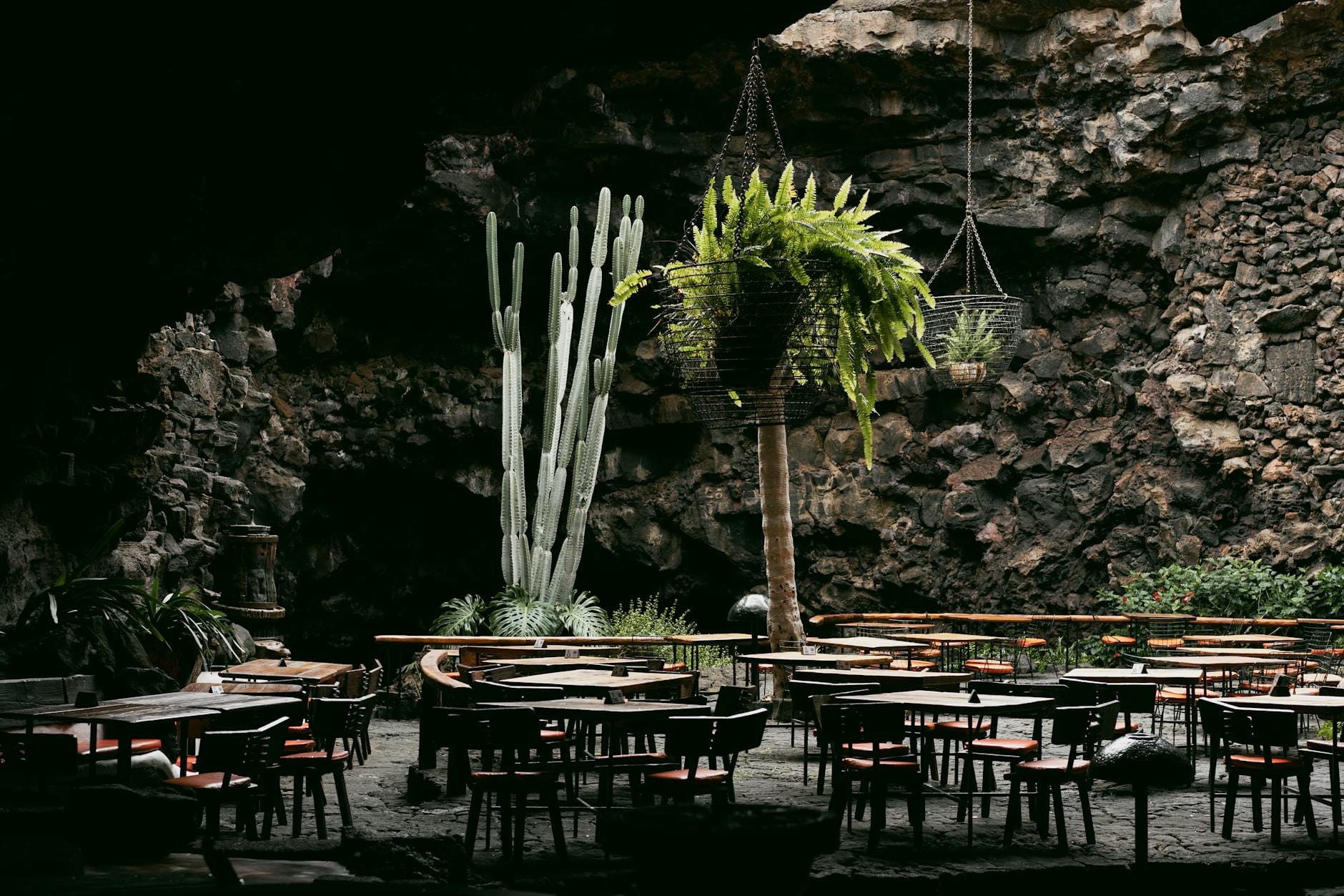 Kawiarnia w jaskini z kaktusem i wiszącymi roślinami