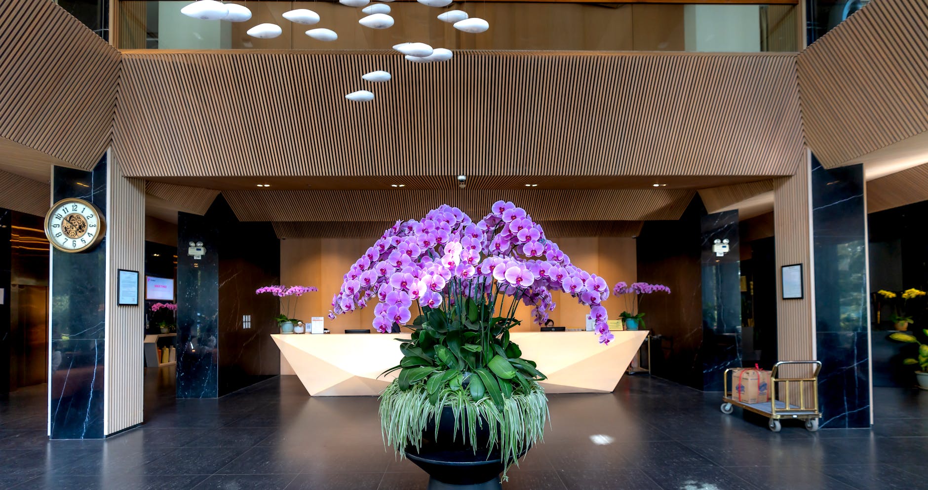 Nowoczesne lobby hotelowe z fioletową orchideą na ladzie recepcji